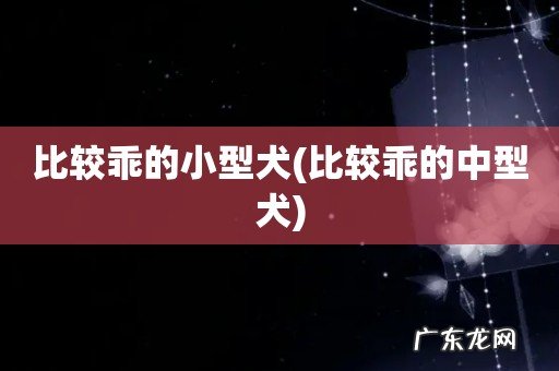 比较乖的中型犬 比较乖的小型犬