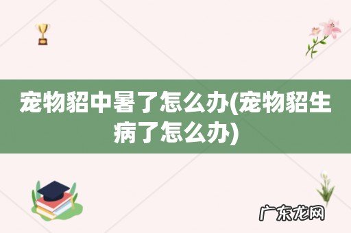宠物貂生病了怎么办 宠物貂中暑了怎么办