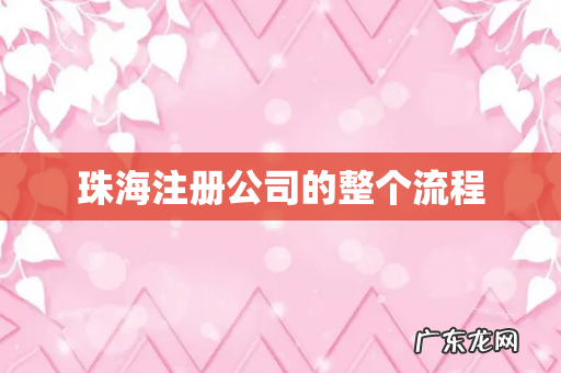 珠海注册公司的整个流程