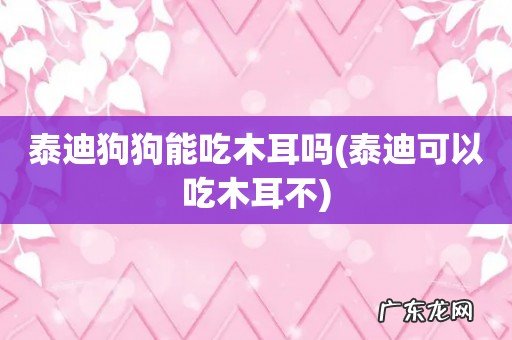 泰迪可以吃木耳不 泰迪狗狗能吃木耳吗