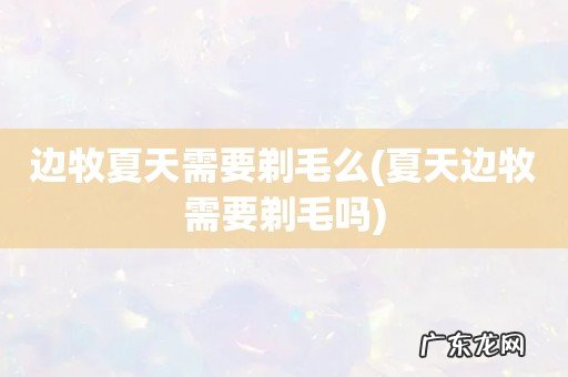 夏天边牧需要剃毛吗 边牧夏天需要剃毛么
