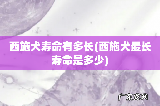 西施犬最长寿命是多少 西施犬寿命有多长