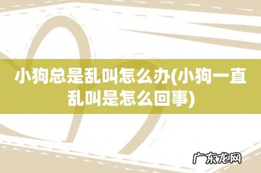 小狗一直乱叫是怎么回事 小狗总是乱叫怎么办