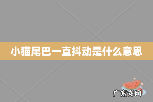 小猫尾巴一直抖动是什么意思