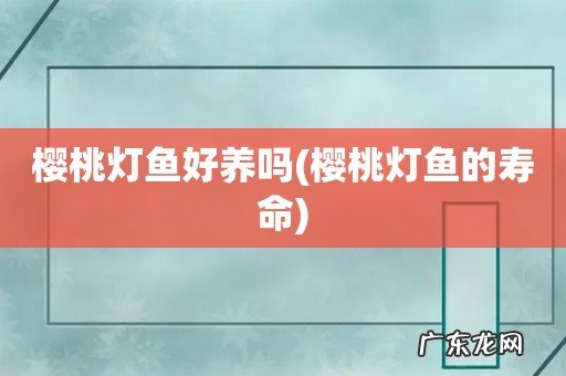 樱桃灯鱼的寿命 樱桃灯鱼好养吗