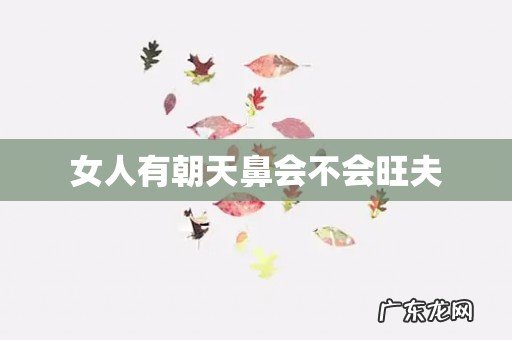 女人有朝天鼻会不会旺夫