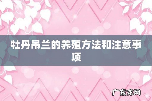 牡丹吊兰的养殖方法和注意事项