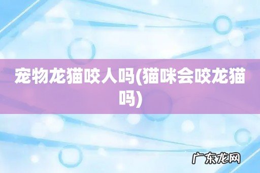 猫咪会咬龙猫吗 宠物龙猫咬人吗