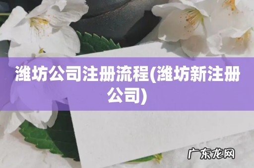 潍坊新注册公司 潍坊公司注册流程