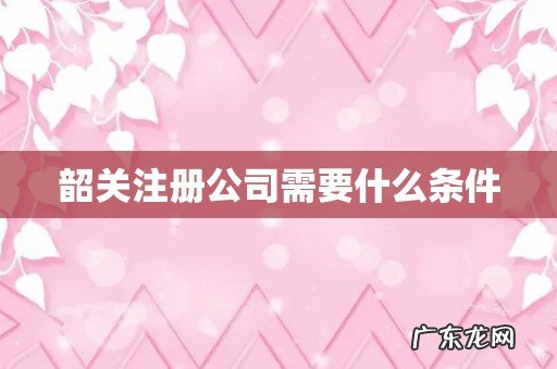 韶关注册公司需要什么条件