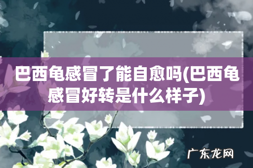 巴西龟感冒好转是什么样子 巴西龟感冒了能自愈吗