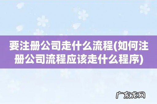 如何注册公司流程应该走什么程序 要注册公司走什么流程