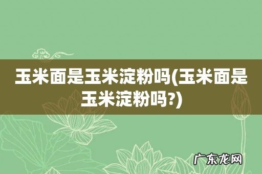 玉米面是玉米淀粉吗? 玉米面是玉米淀粉吗