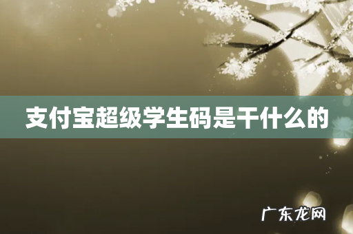 支付宝超级学生码是干什么的