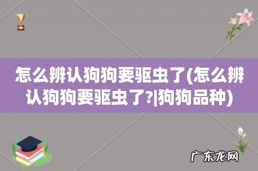 怎么辨认狗狗要驱虫了?|狗狗品种 怎么辨认狗狗要驱虫了