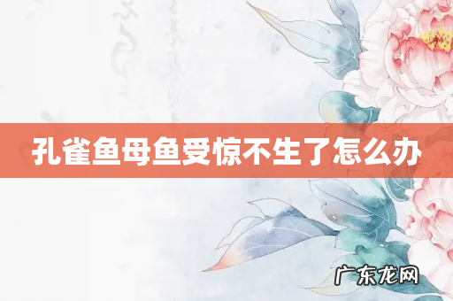 孔雀鱼母鱼受惊不生了怎么办