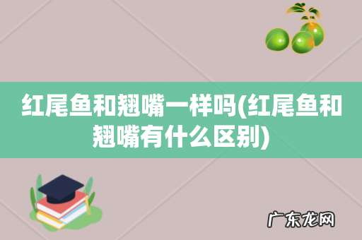 红尾鱼和翘嘴有什么区别 红尾鱼和翘嘴一样吗