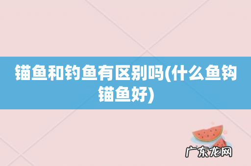 什么鱼钩锚鱼好 锚鱼和钓鱼有区别吗