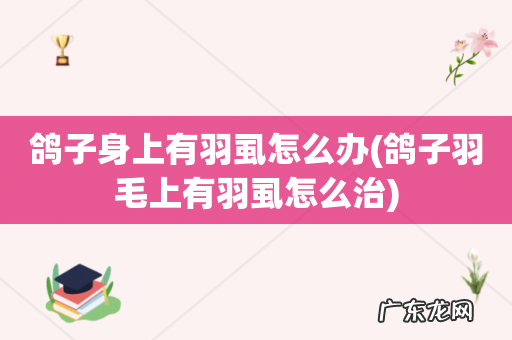 鸽子羽毛上有羽虱怎么治 鸽子身上有羽虱怎么办