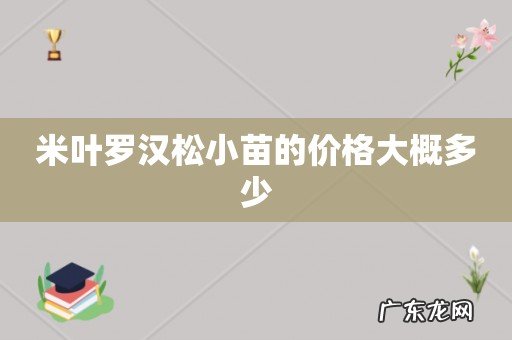 米叶罗汉松小苗的价格大概多少