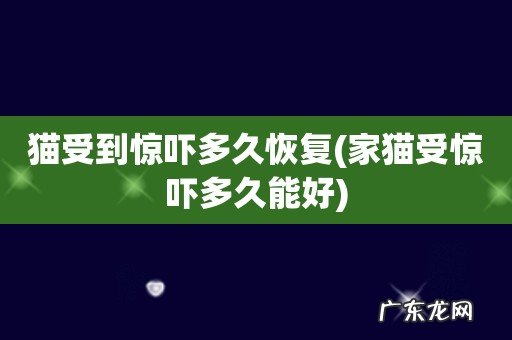 家猫受惊吓多久能好 猫受到惊吓多久恢复