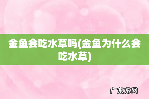 金鱼为什么会吃水草 金鱼会吃水草吗