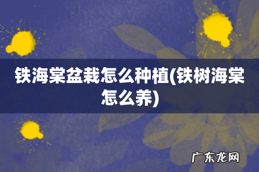 铁树海棠怎么养 铁海棠盆栽怎么种植