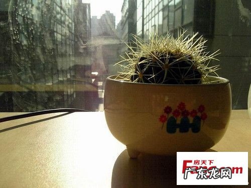 风水究竟是什么 风水是什么东西