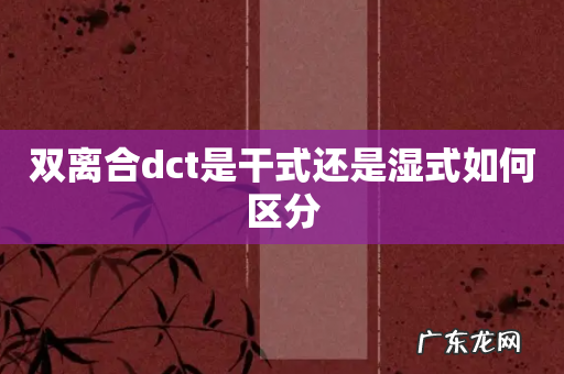 双离合dct是干式还是湿式如何区分