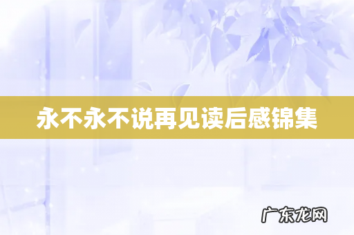 永不永不说再见读后感锦集