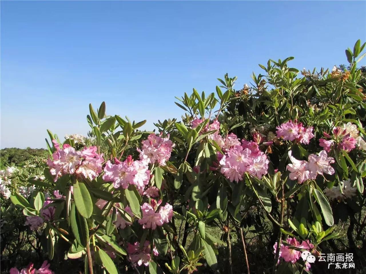 宣威最好风水宝地 宣威风水宝地在哪个地段
