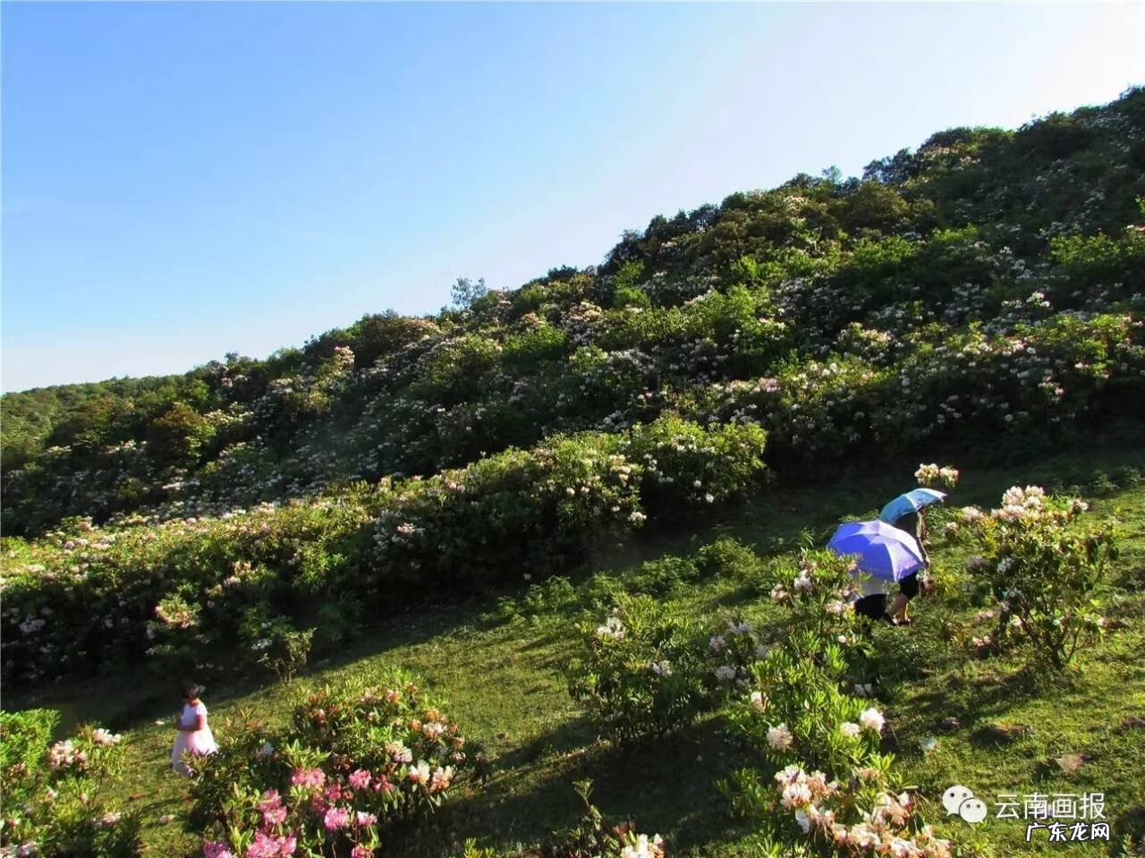 宣威最好风水宝地 宣威风水宝地在哪个地段