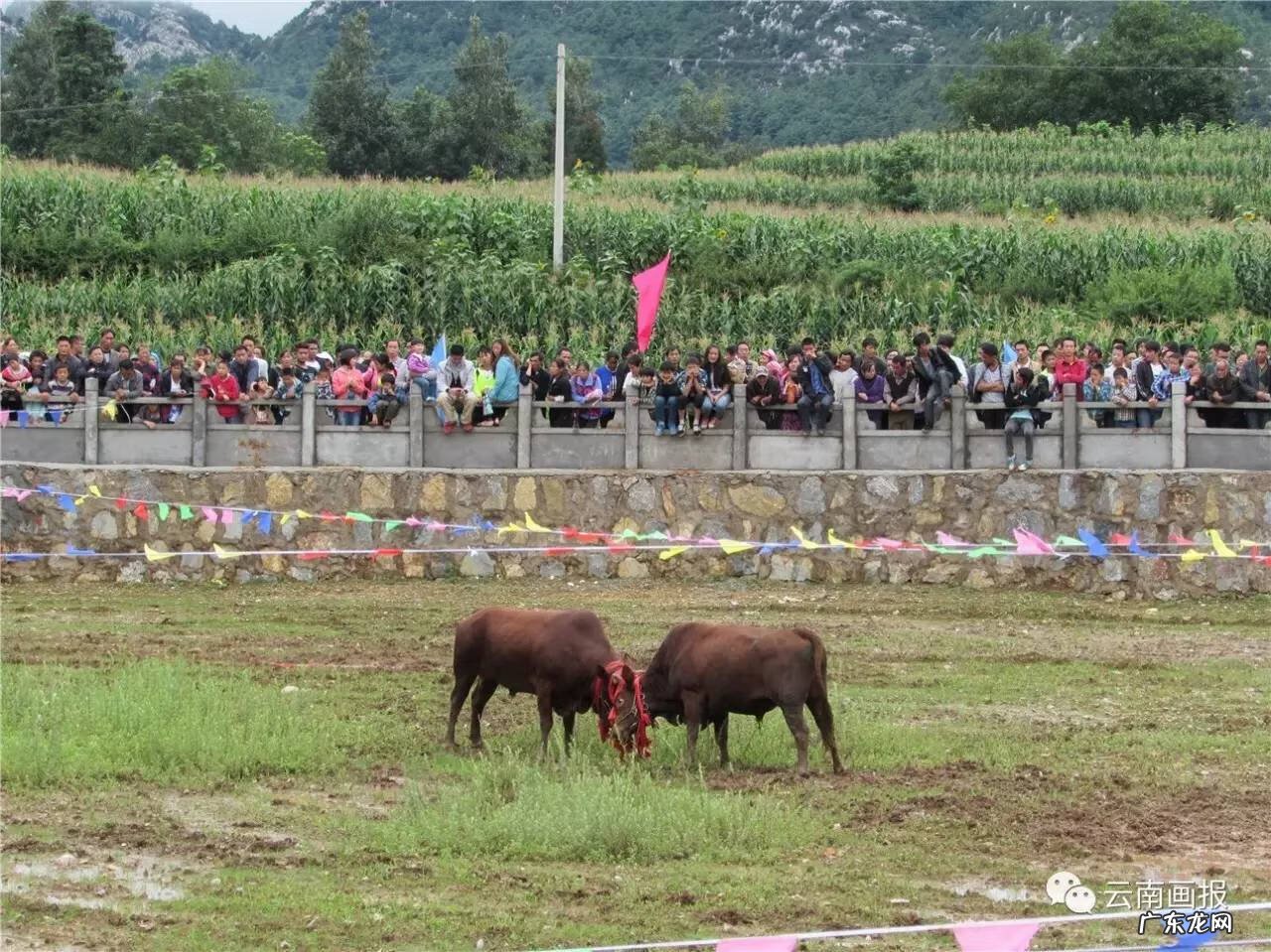 宣威最好风水宝地 宣威风水宝地在哪个地段