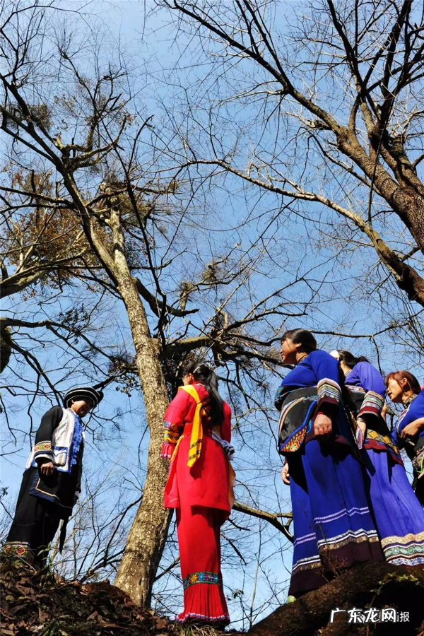 宣威最好风水宝地 宣威风水宝地在哪个地段