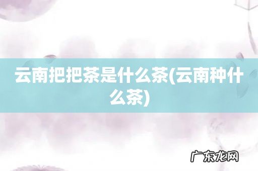 云南种什么茶 云南把把茶是什么茶