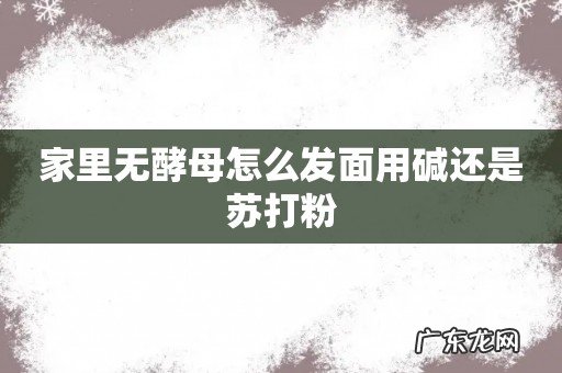家里无酵母怎么发面用碱还是苏打粉