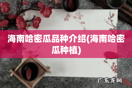 海南哈密瓜种植 海南哈密瓜品种介绍