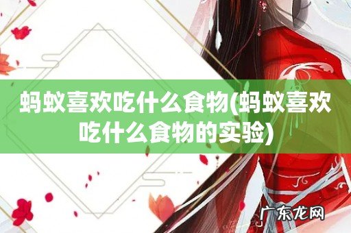 蚂蚁喜欢吃什么食物的实验 蚂蚁喜欢吃什么食物