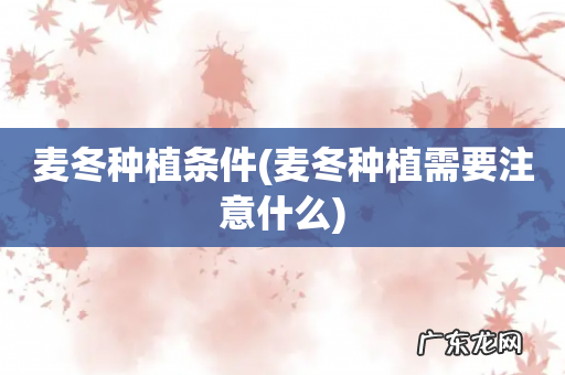 麦冬种植需要注意什么 麦冬种植条件