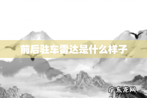 前后驻车雷达是什么样子