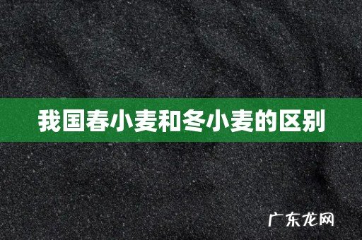 我国春小麦和冬小麦的区别