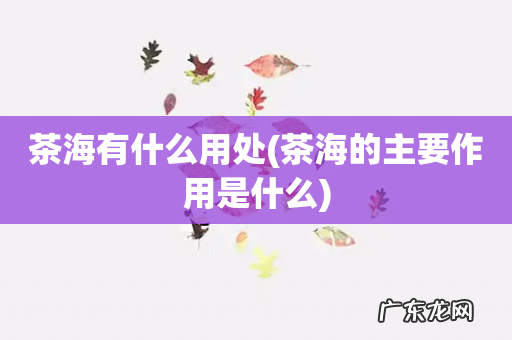 茶海的主要作用是什么 茶海有什么用处