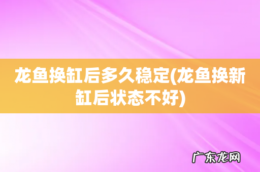 龙鱼换新缸后状态不好 龙鱼换缸后多久稳定