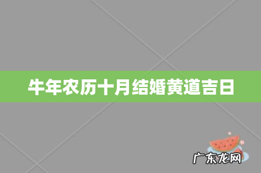 牛年农历十月结婚黄道吉日