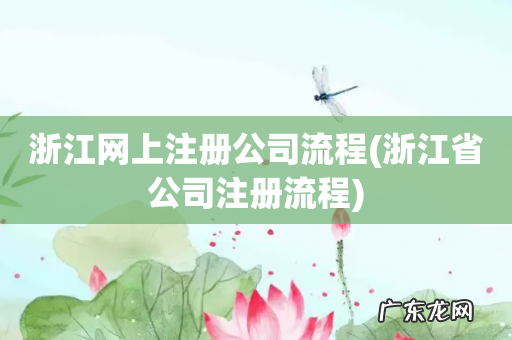 浙江省公司注册流程 浙江网上注册公司流程