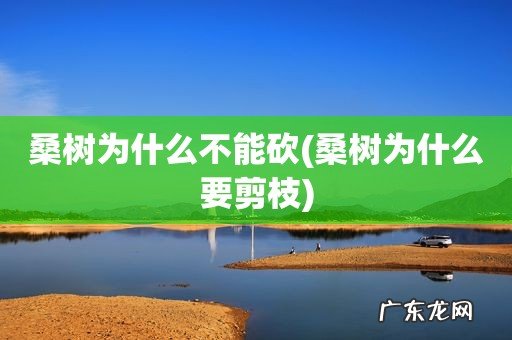 桑树为什么要剪枝 桑树为什么不能砍