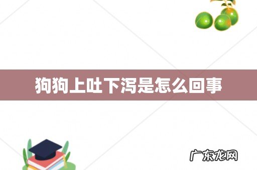 狗狗上吐下泻是怎么回事