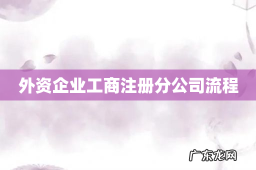外资企业工商注册分公司流程