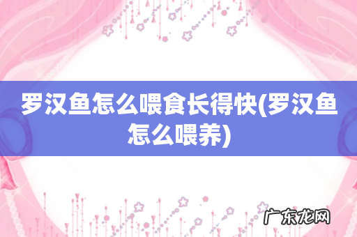 罗汉鱼怎么喂养 罗汉鱼怎么喂食长得快