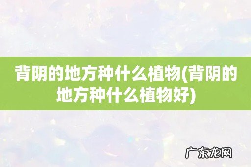 背阴的地方种什么植物好 背阴的地方种什么植物